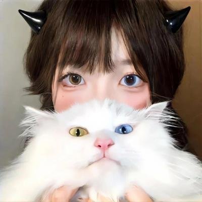 招惹